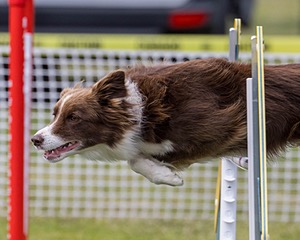 20230916-PVKC-2086.jpg