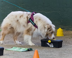 20260718-NSKC-0607.jpg