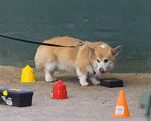 20260718-NSKC-0684.jpg