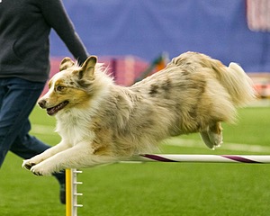 20150321-LEAP-0781.jpg