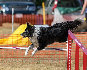 20160619-CCKC-1796.jpg
