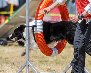 20160619-CCKC-1342.jpg