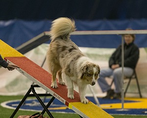 20150321-LEAP-0778.jpg