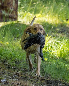 20220604-SHW-2014.jpg