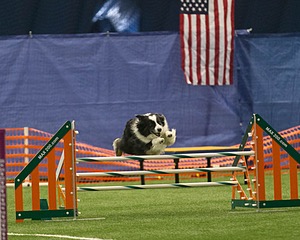 20150321-LEAP-1029.jpg