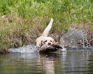 20130602-SEAW-0033.jpg