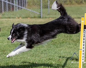 20200819-0862.jpg