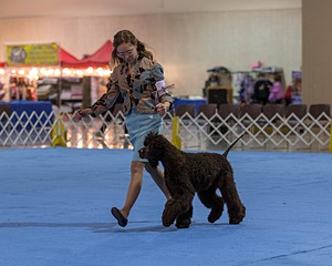 10 - Poole's Ide Touch Of Mink (Darla)