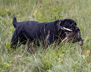 20230805-SHL-0335.jpg