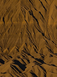 20241023-0096.jpg