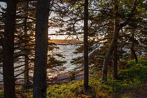 20180708-1111.jpg
