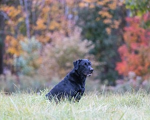 20211010-WCXL-0162.jpg