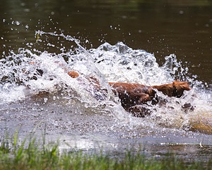 20130714-MHB2-0094.jpg