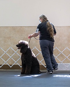 20210828-RA-0384.jpg