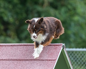 20200819-2797.jpg