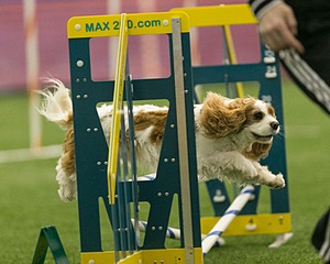 20150321-LEAP-1598.jpg
