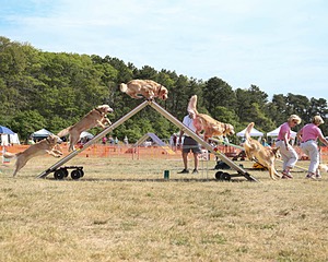 20150614-CCKCMC-0016.jpg