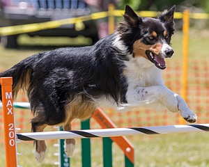 20180616-0740.jpg
