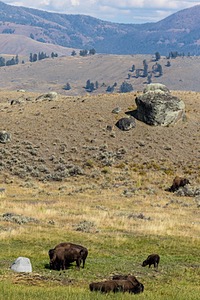 Yellowstone National Park