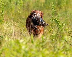 20210807-SHL-0010.jpg