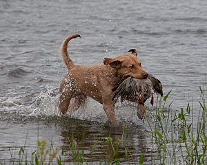 20080531-HRW-0005.jpg