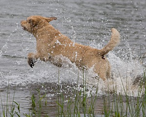 20080531-HRW-0019.jpg