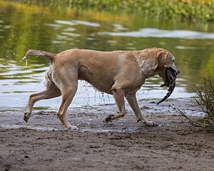20220925-SHW-0039.jpg