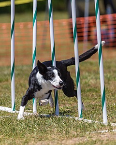 20180617-1010.jpg