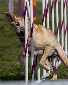 20230916-PVKC-1308.jpg