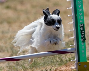 20160618-CCKC-2003.jpg