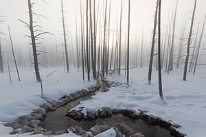 Yellowstone National Park, Montana