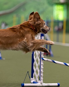 20260221-0701.jpg