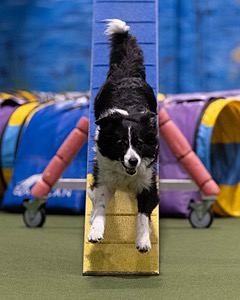 20260221-0643.jpg