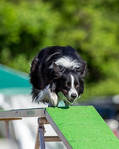 20160618-CCKC-0192.jpg