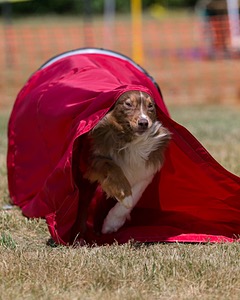 20150613-CCKC-0191.jpg