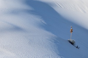 20151207-0096.jpg