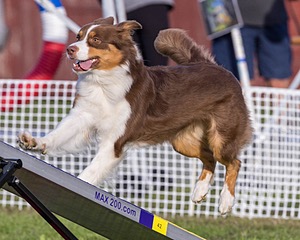 20230916-PVKC-1693.jpg