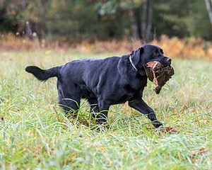 20231008-WCL-0077.jpg