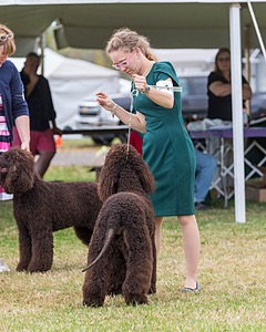 14 - POOLES IDE THAT TOUCH OF MINK (Darla)