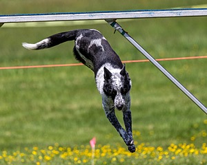 20170520-NEAT-1439.jpg