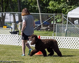09 - GCH CH Brekkon's First Mark BN RN CGC TKN