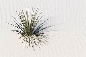 20151209-0069.jpg