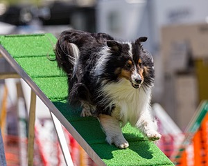 20180617-1344.jpg