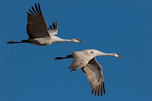 20151206-3567.jpg