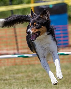 20180616-0746.jpg