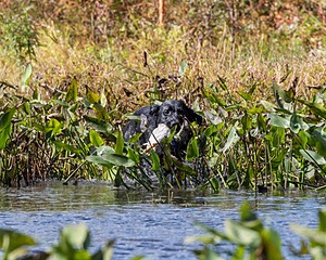 20160924-SHW-0063.jpg