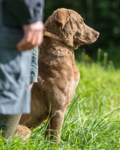 Timber O'Neil