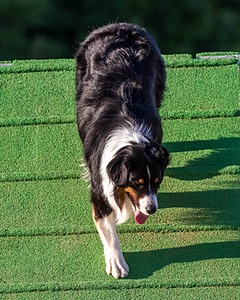 Kona Destremps