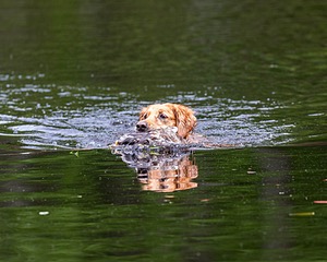 20170604-SEAW-0017.jpg