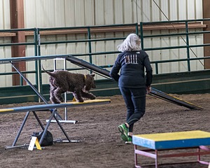 20190513-AG-0183.jpg
